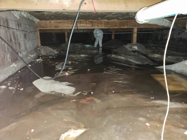 Best Commercial Water Damage Restoration in Rio Vista, CA